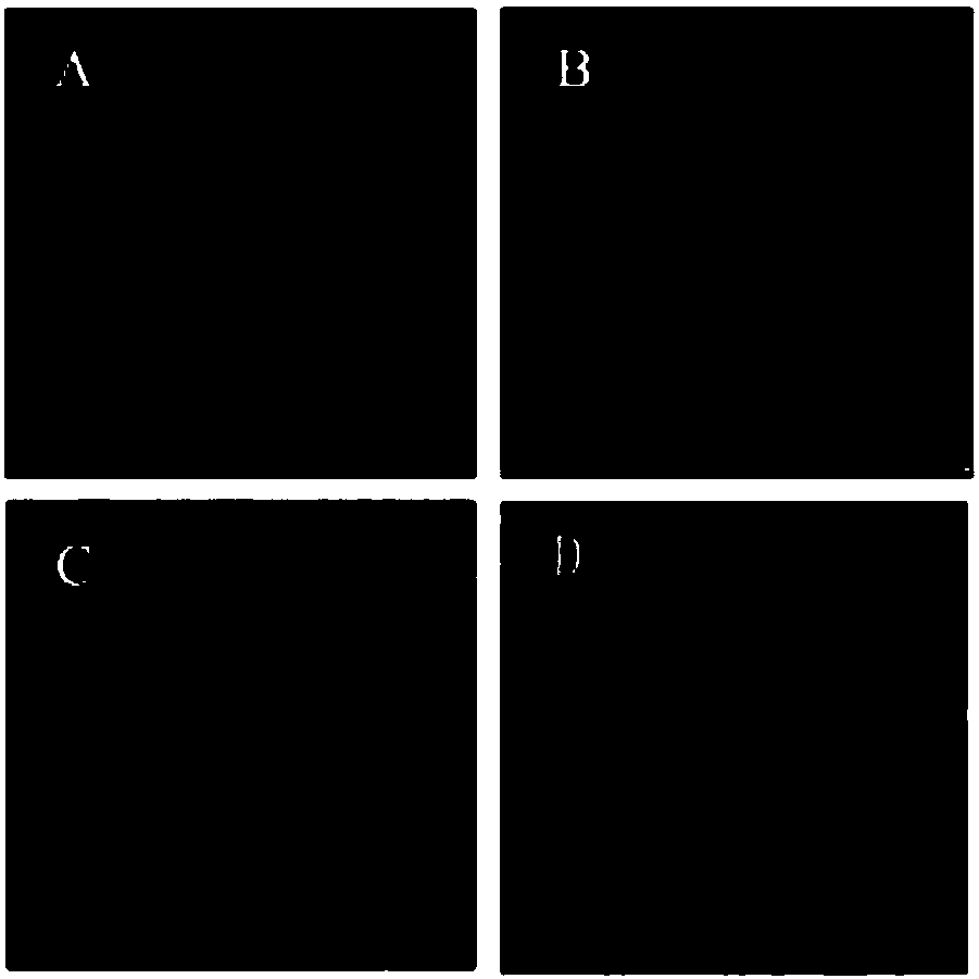 Composite disruptor composition as well as preparation and application thereof