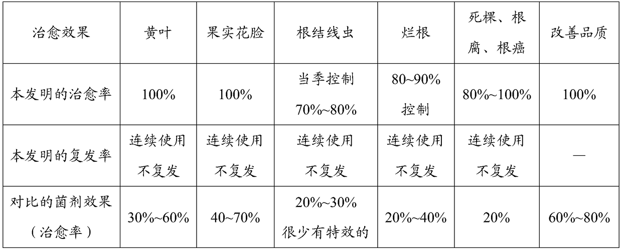 Bio-organic fertilizer and application thereof