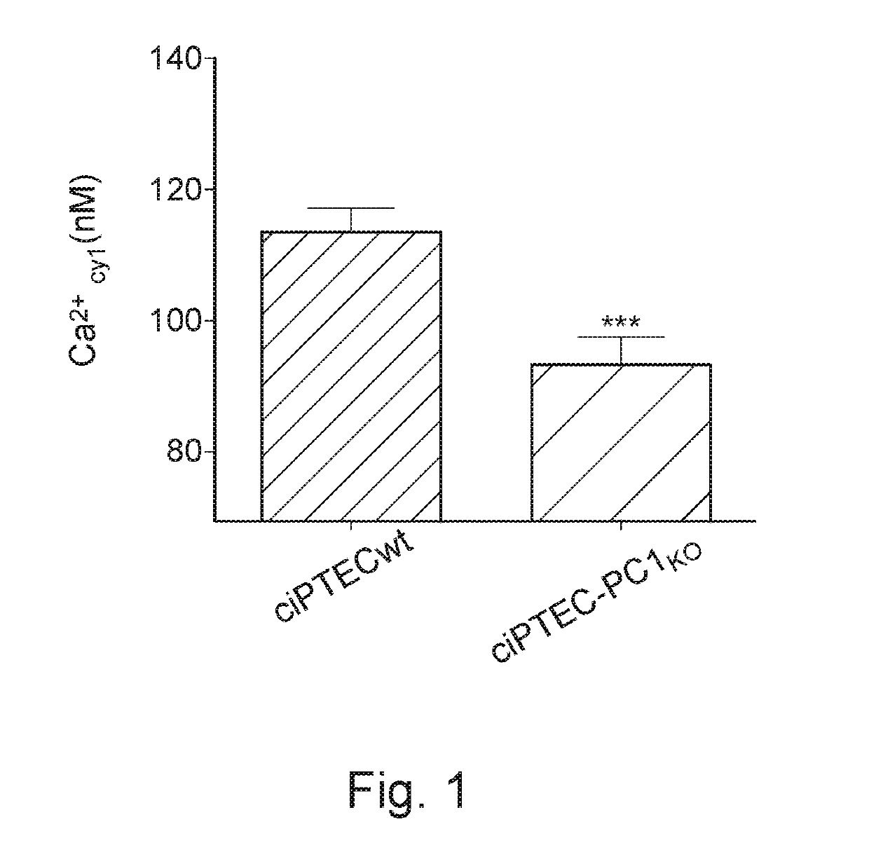 Association of antagonists of the vasopressin receptor and calcimimetics, composition and use thereof for the treatment of polycystic kidney