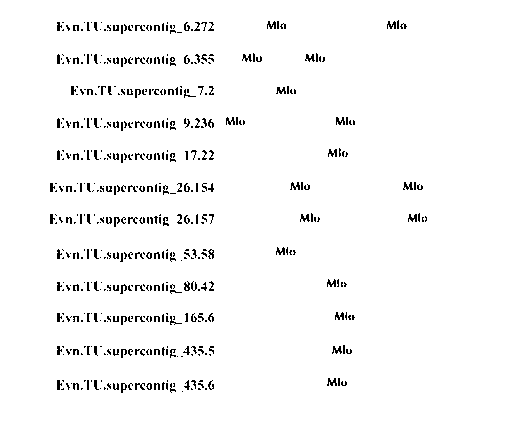 Application of bioinformatics in fast identifying powdery mildew resistance gene of carica papaya l