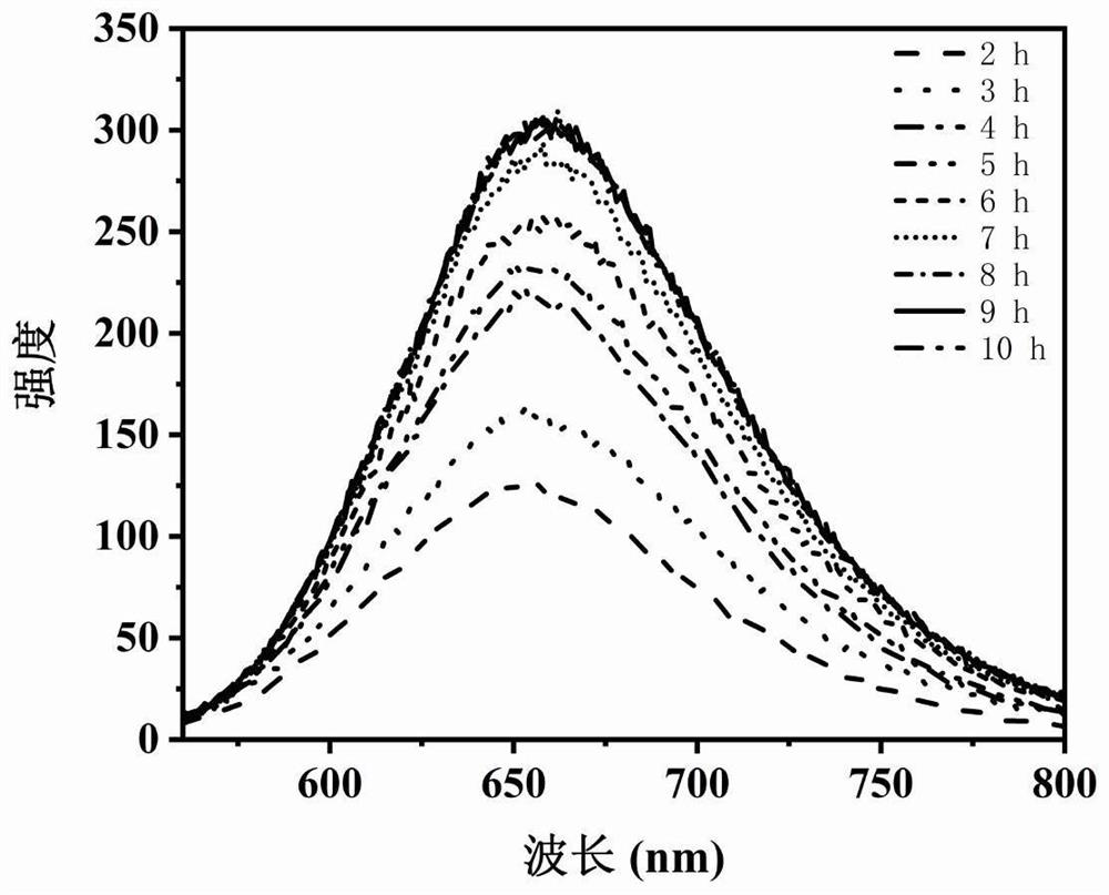 Preparation method of chicken protein-gold nanocluster and application of chicken protein-gold nanocluster in quercetin detection