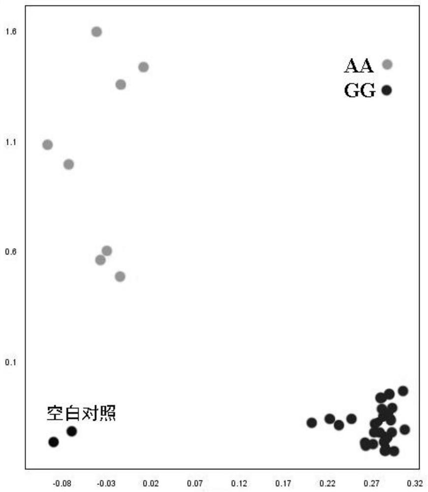 Single nucleotide mutation site SNP and KASP markers significantly associated with soybean protein content and application thereof