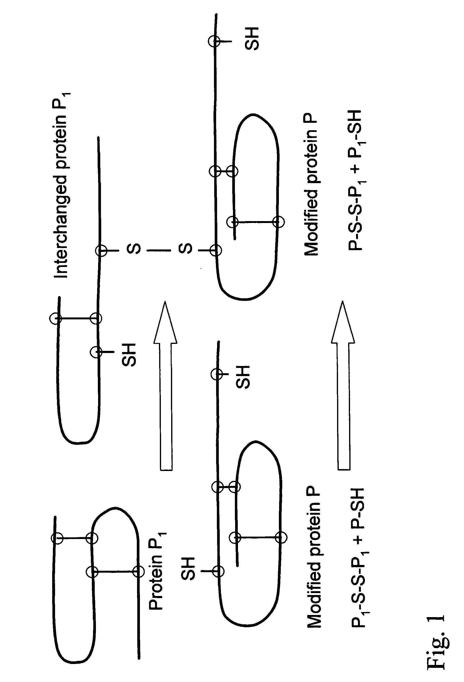 Method for preparing film coatings and film coating