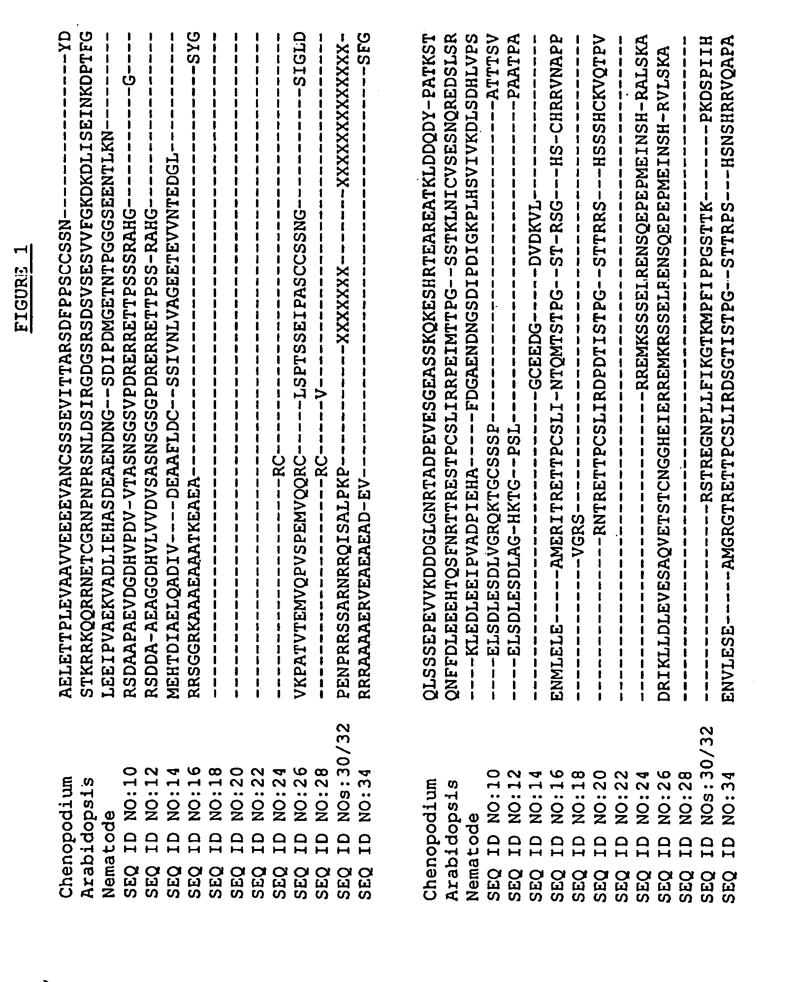 Cell cycle genes in plants