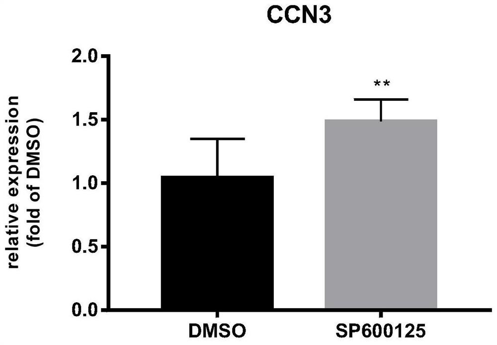 Method for enhancing hematopoietic stem cell transplantation capacity