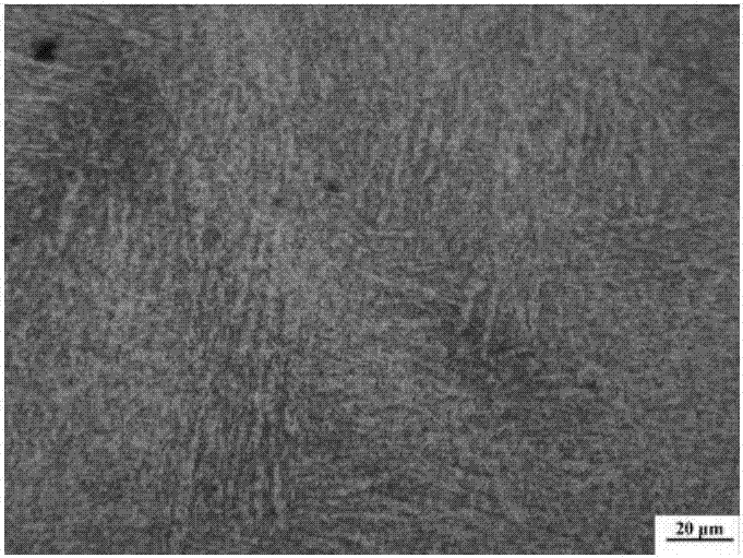 Heat treatment process for improving spheroidized structure of large-sized die flat steel forged material