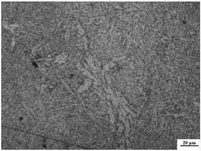 Heat treatment process for improving spheroidized structure of large-sized die flat steel forged material