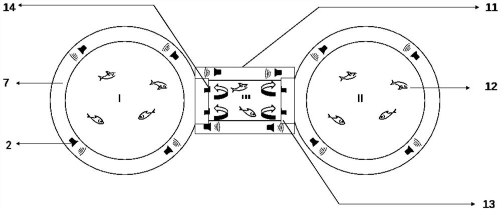 Controllable net-free fish box