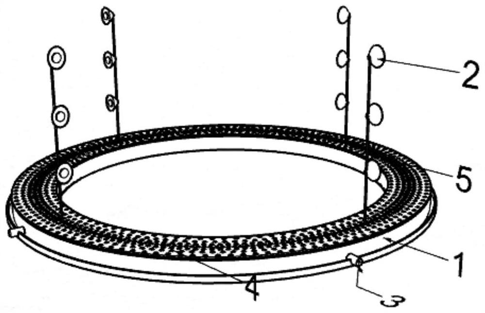 Controllable net-free fish box