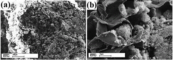 Cork-powder-based porous composite material and preparation method and application thereof