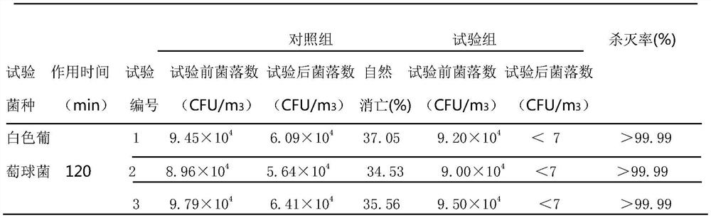 Photoelectrocatalysis radio frequency heating sterilization sterilizer