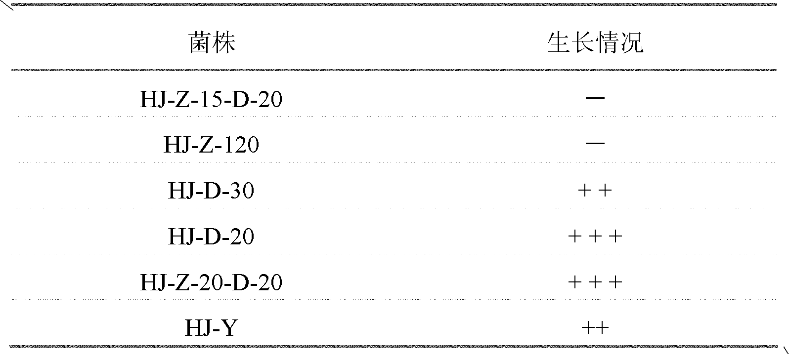 Rhodosporidium paludigenum for degrading gossypol and application thereof