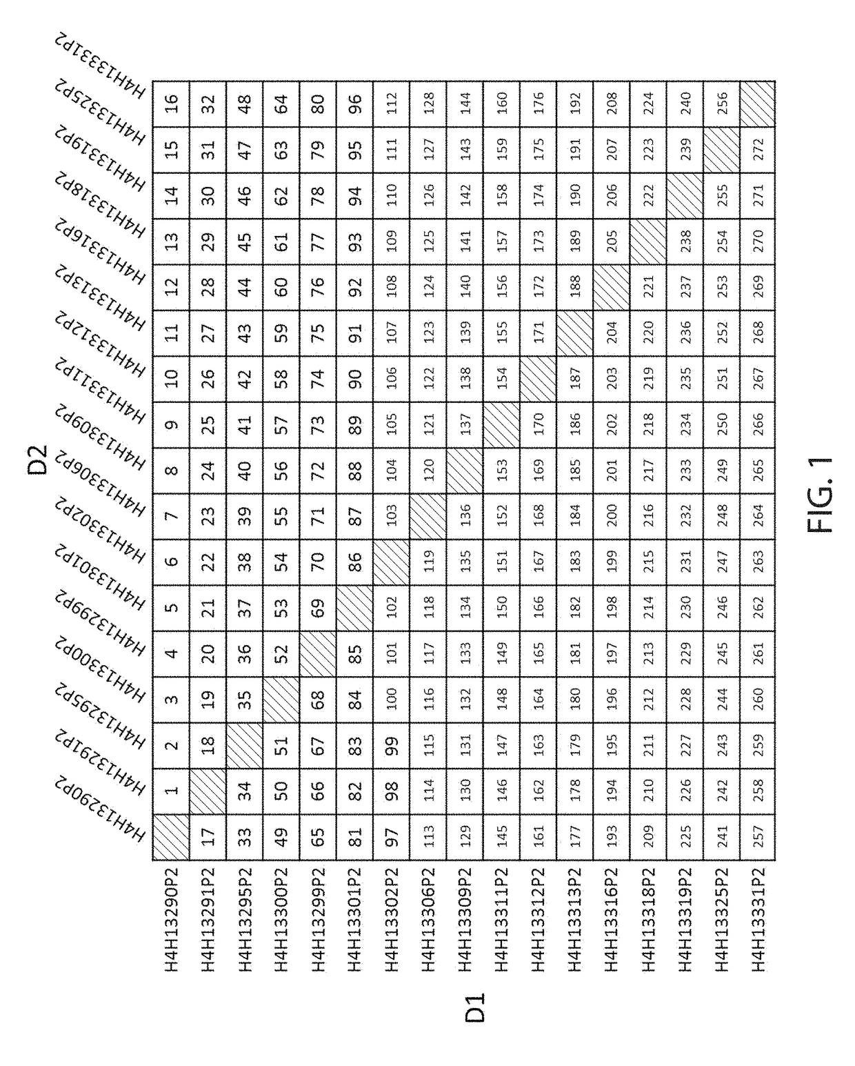 Anti-met antibodies, bispecific antigen binding molecules that bind met, and methods of use thereof