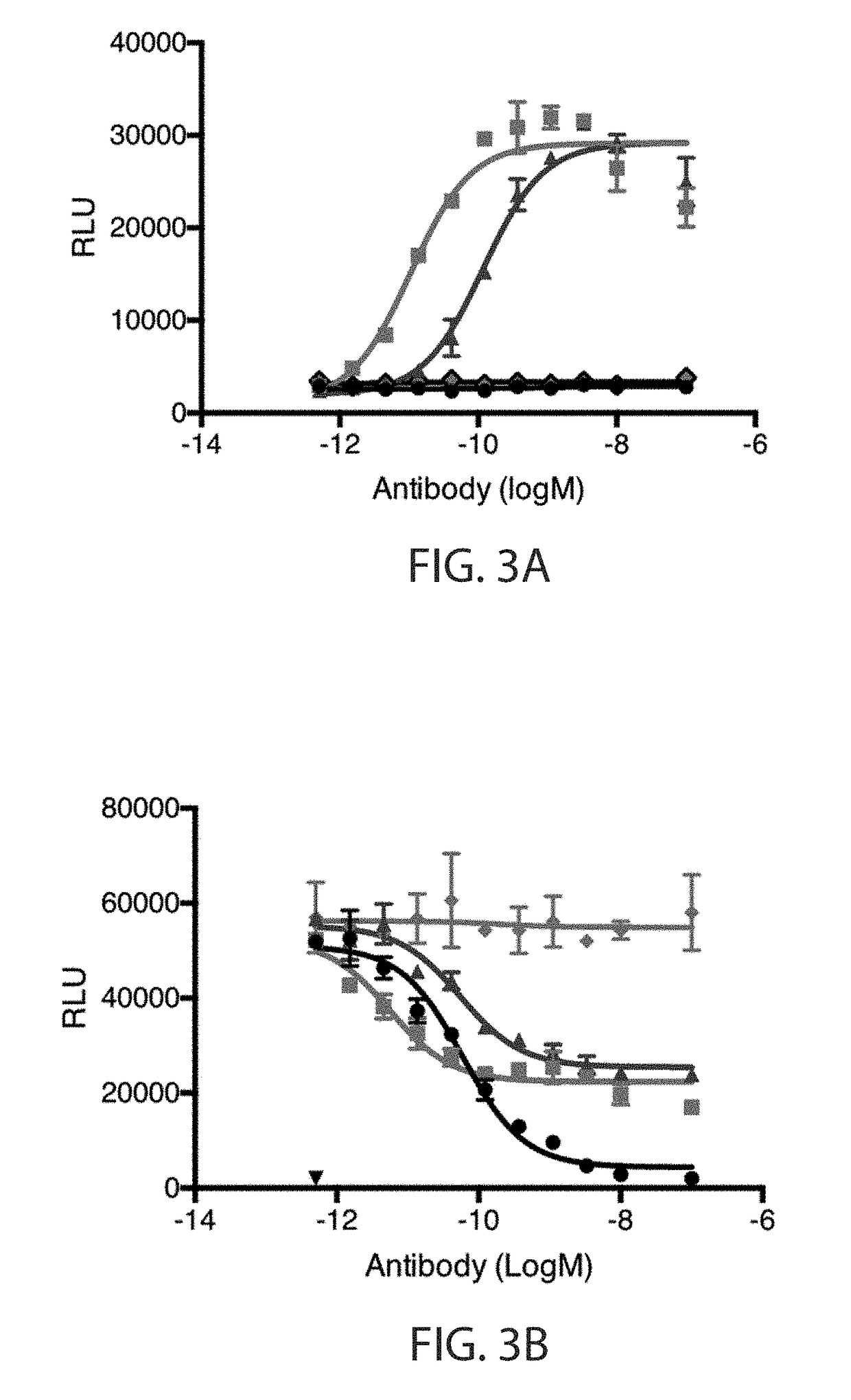 Anti-met antibodies, bispecific antigen binding molecules that bind met, and methods of use thereof