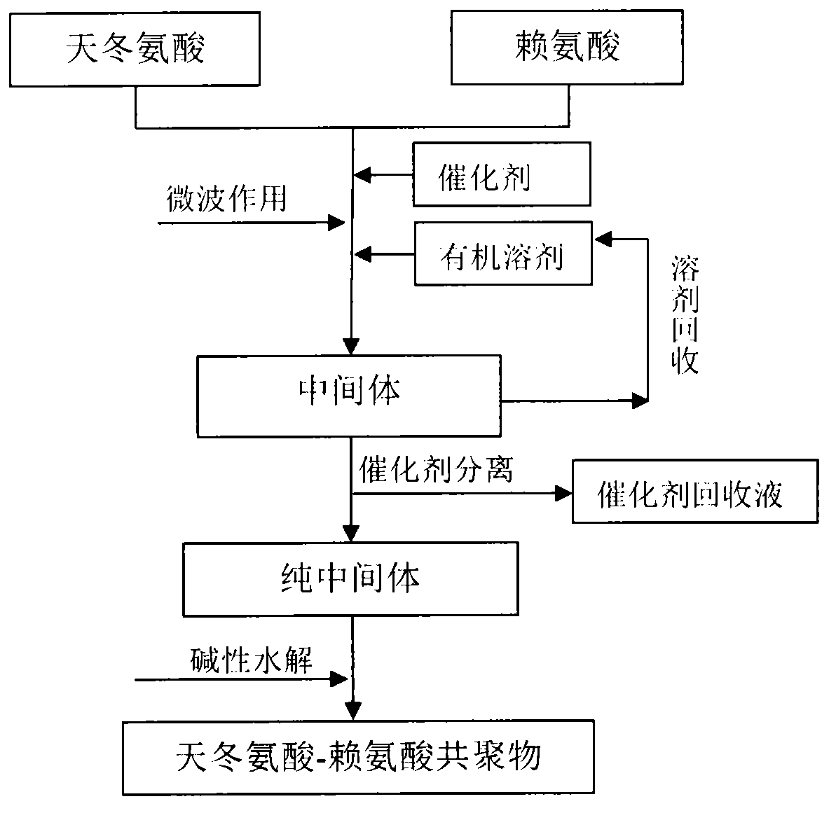 Aspartic acid-lysine copolymer and synthetic method thereof