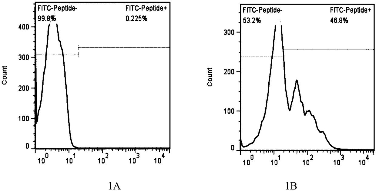 LRFF cell construction method