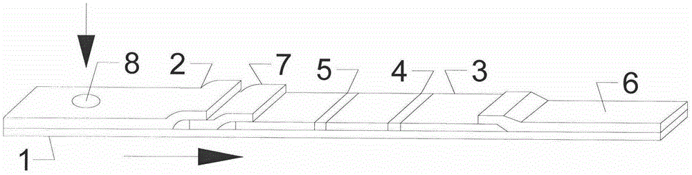 Method for rapidly detecting CP4-EPSPS in transgenic plant