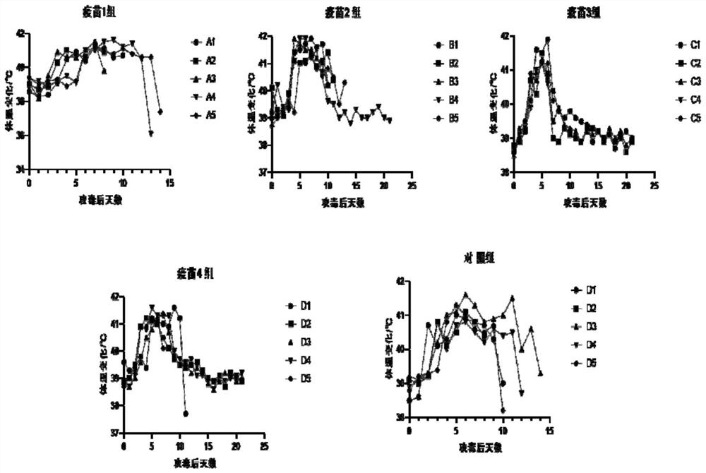 Subunit vaccine composition against African swine fever as well as preparation method and application thereof