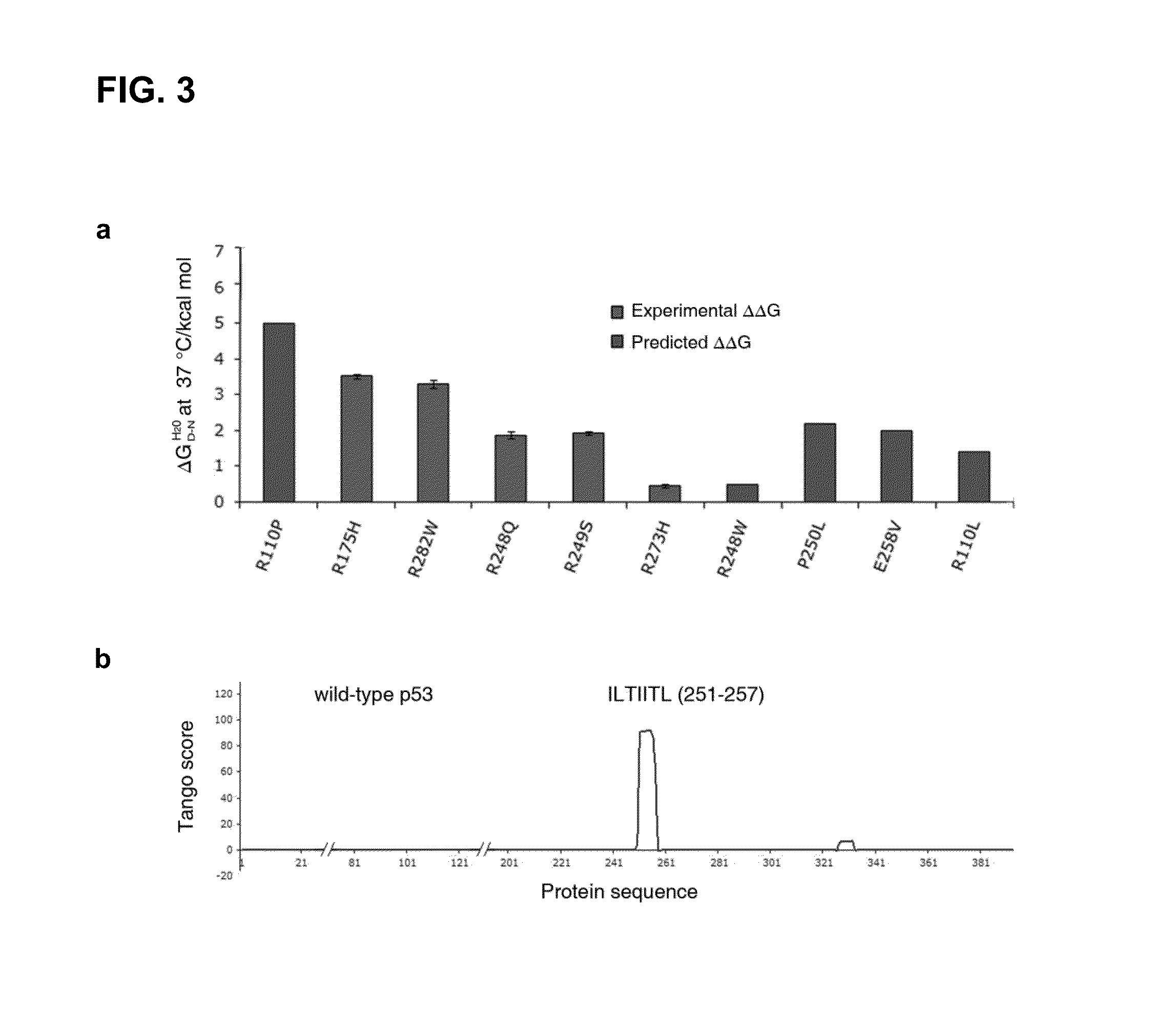 Methods for screening inhibitors of tumor associated protein aggregation