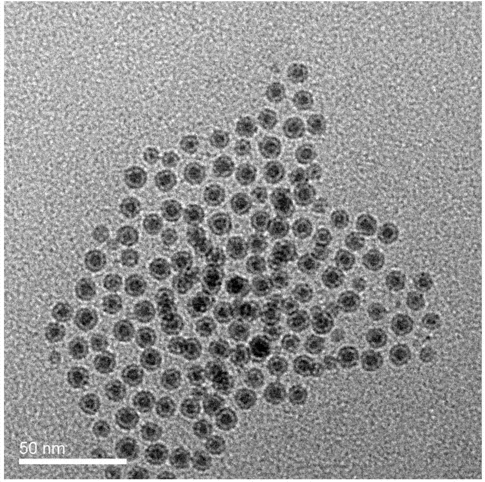 Nuclear magnetic resonance sensor for detecting melamine based on magnetic nanoparticles, and preparation method and application thereof