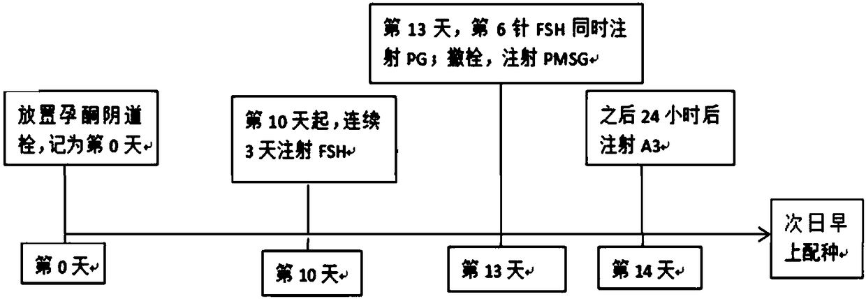 High-efficiency breeding method of goat for achieving one birth of multiple goats