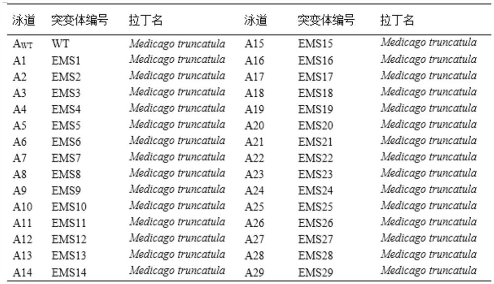 Primer pair, kit containing same, use and method for detecting ecotypes a17 and r108 of Medicago truncatula