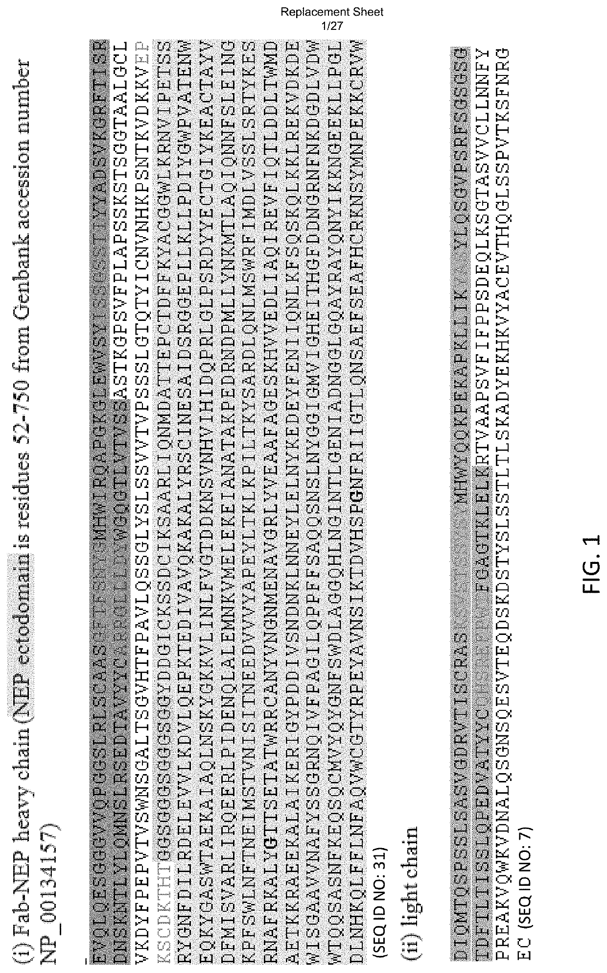 Methods and compositions for treatment of protein aggregation-based disorders