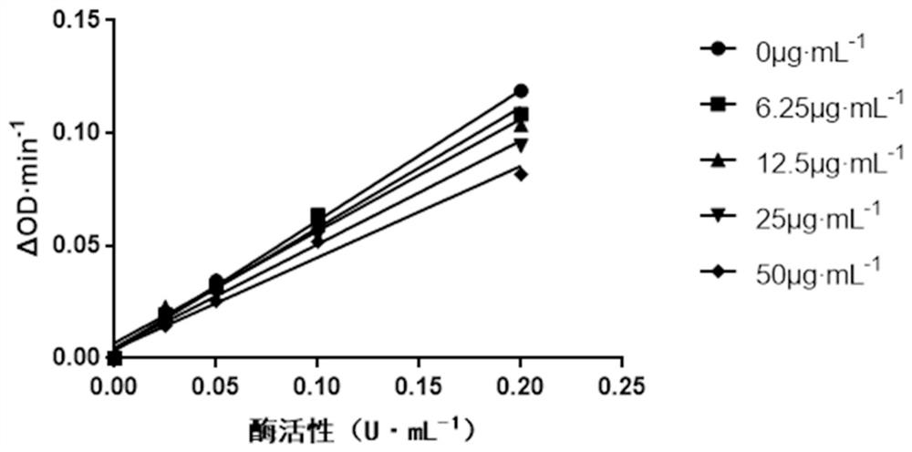 Malus hupehensis tea water extract and application thereof