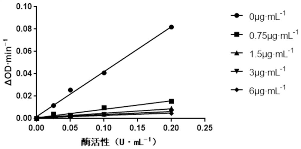 Malus hupehensis tea water extract and application thereof