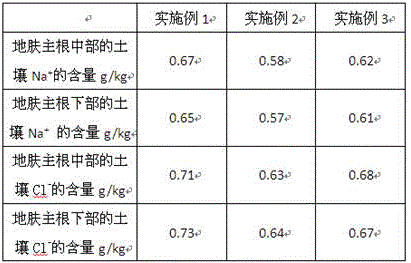 Root salt controlling method with rice straw biomass charcoal percolation layer and application of root salt controlling method to planting of kochia scoparia in saline-alkali soil