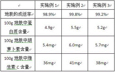 Root salt controlling method with rice straw biomass charcoal percolation layer and application of root salt controlling method to planting of kochia scoparia in saline-alkali soil