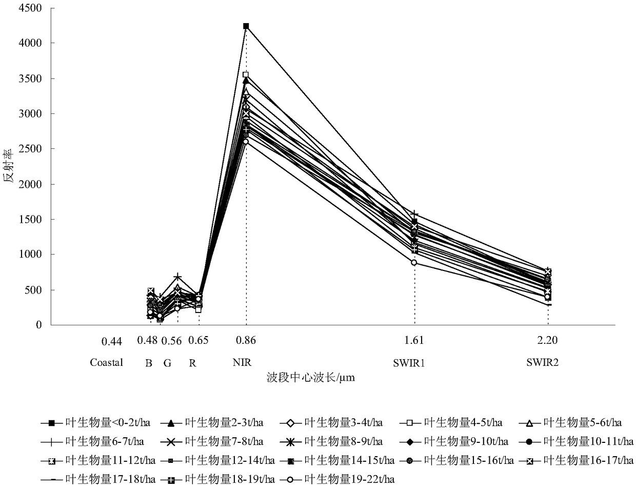 A Forest Biomass Remote Sensing Inversion Method Based on Spectral Curve Feature Differentiation