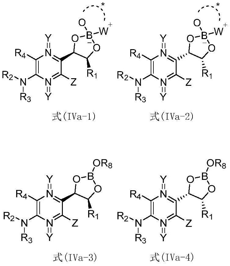 Intermediate for preparing L-red biopterin compound and preparation method thereof