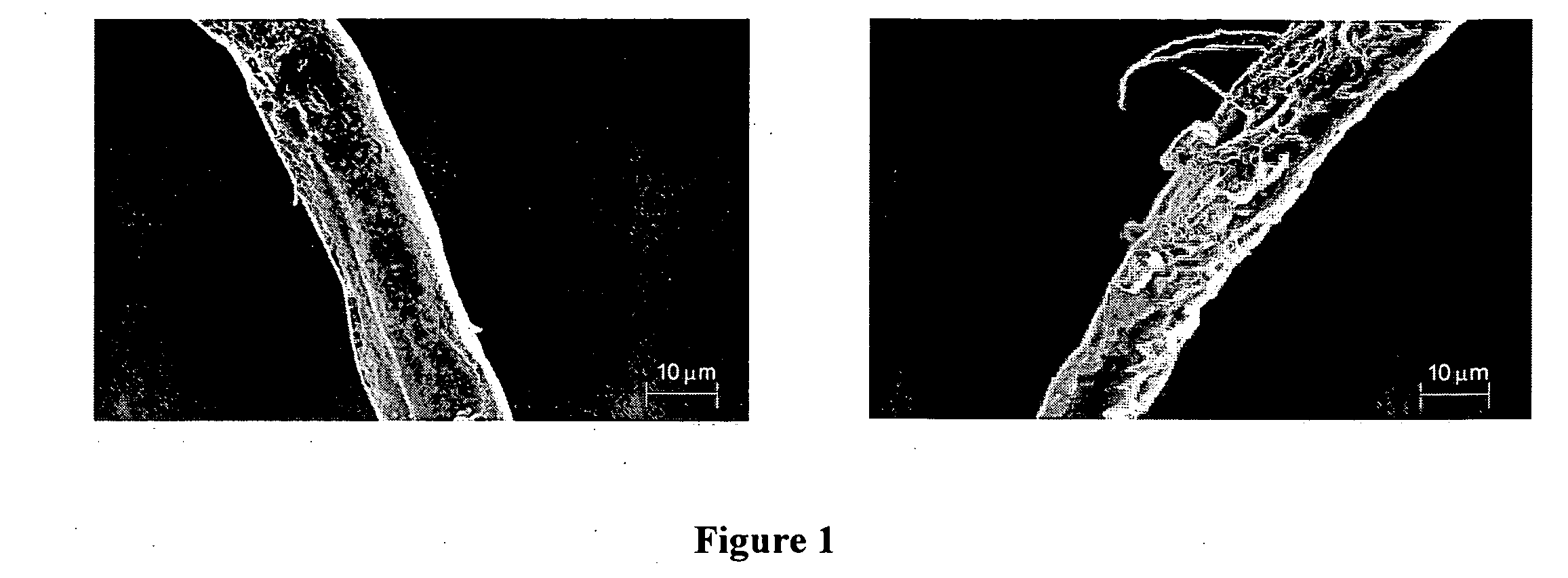 High modulus polymer composites and methods of making the same