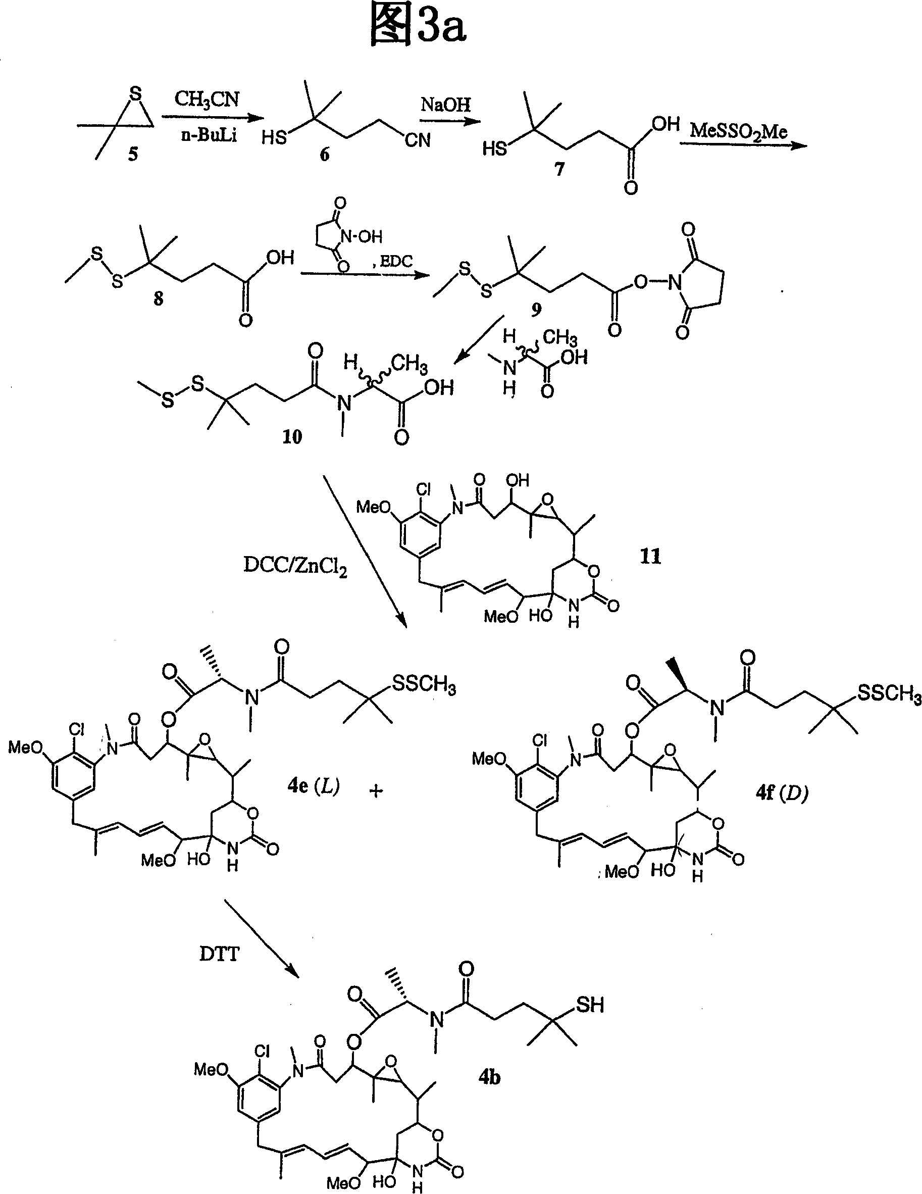 Improved cytotoxic agents comprising new maytansinoids