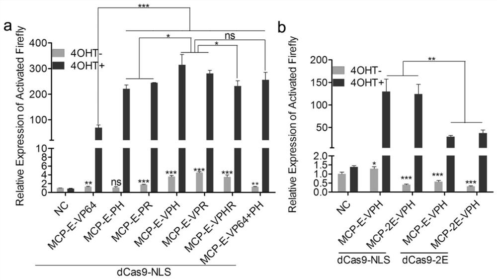 A drug-inducible CRISPR/Cas9 system for gene transcriptional activation