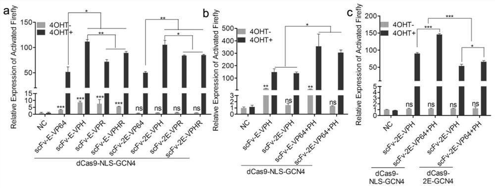 A drug-inducible CRISPR/Cas9 system for gene transcriptional activation