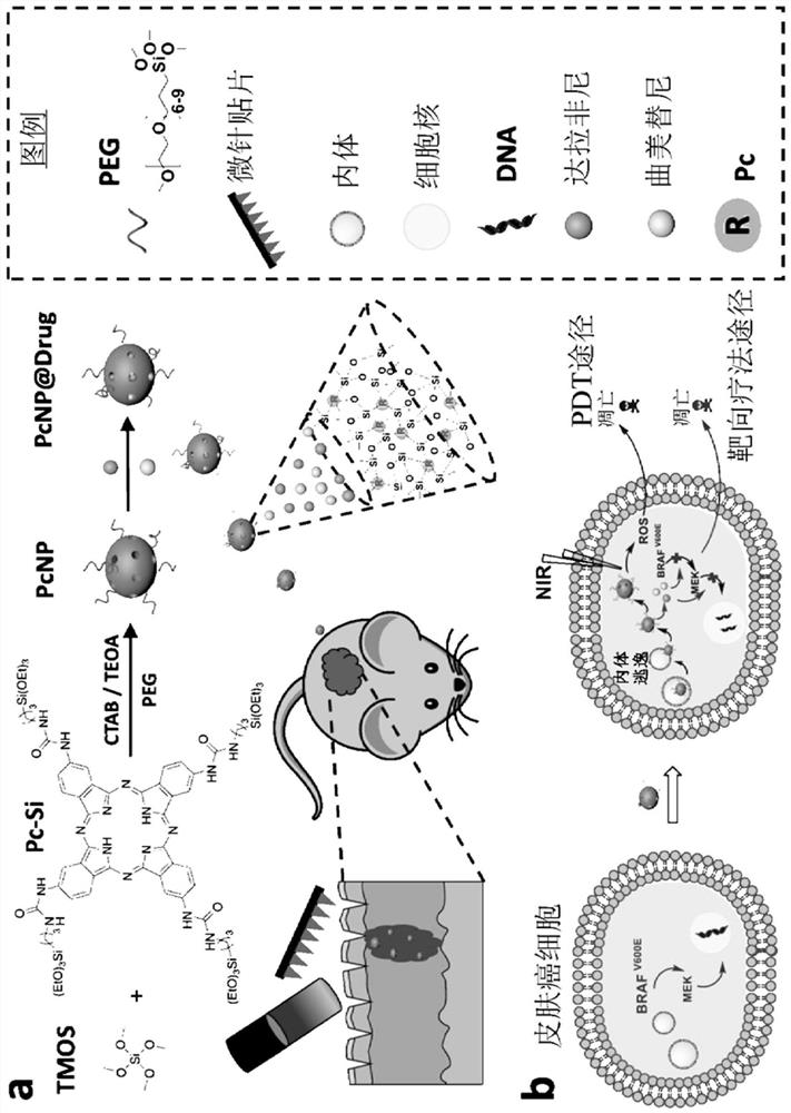 Photodynamically active organosilica nanoparticles and medical uses thereof