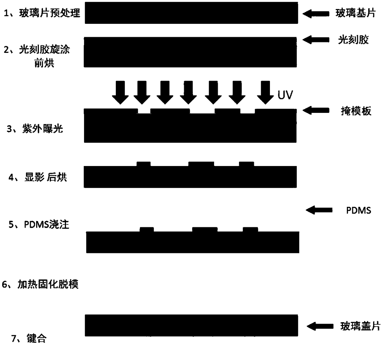 Lymphocyte irradiation damage SERS detection method