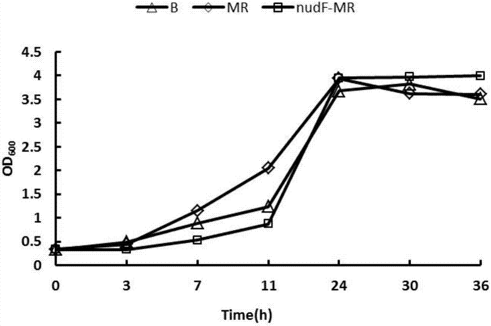 Method for improving activity of rate-limiting enzyme in methanol metabolism process of escherichia coli