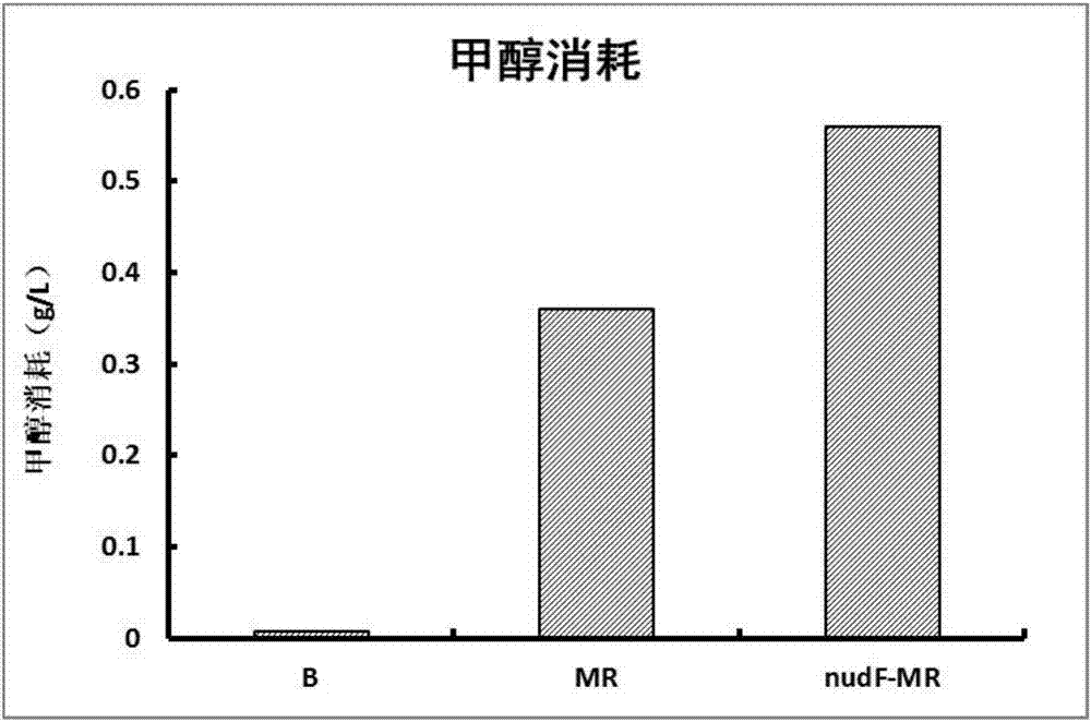 Method for improving activity of rate-limiting enzyme in methanol metabolism process of escherichia coli