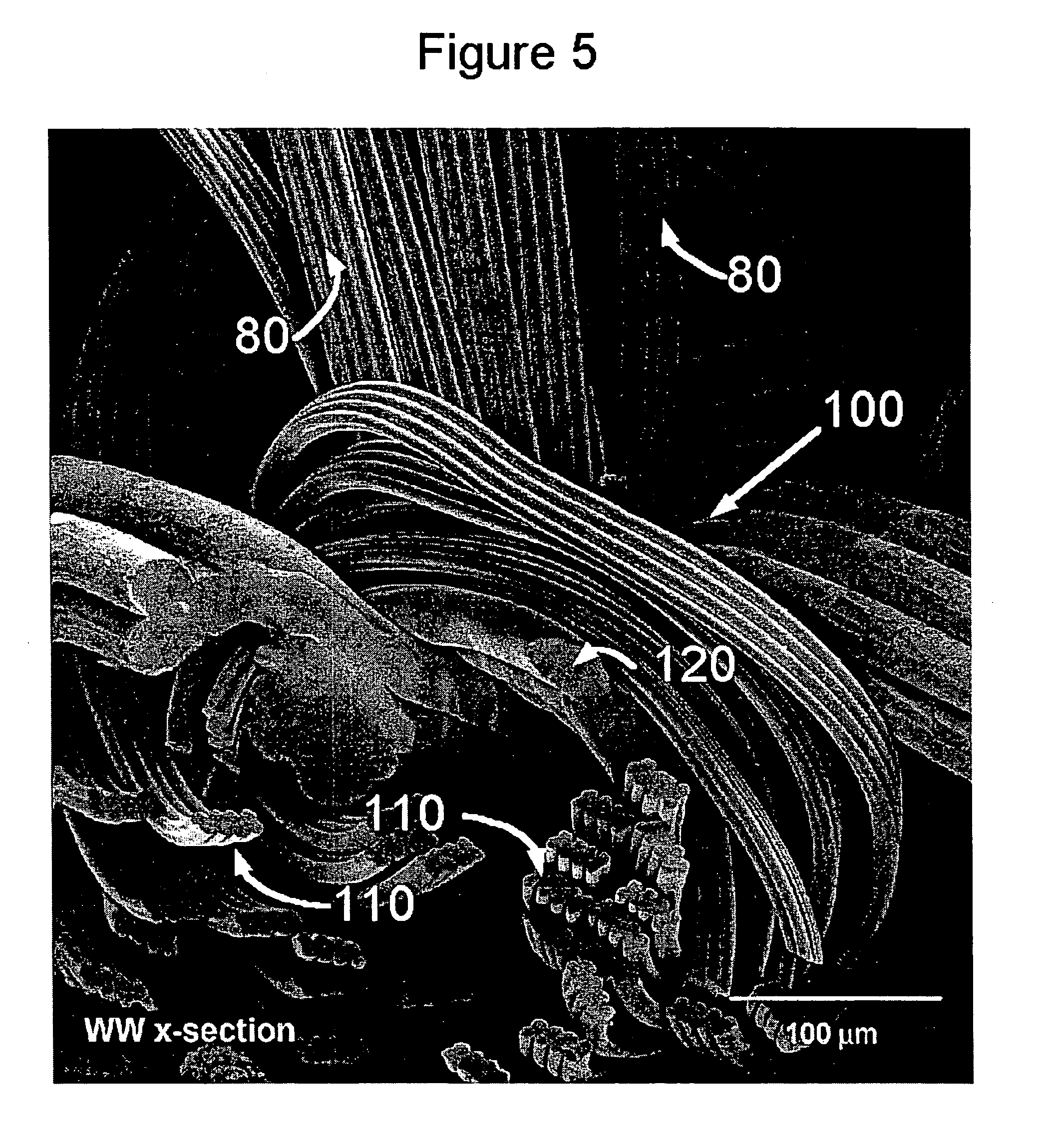 Fabric including polymer filaments having profiled cross-section