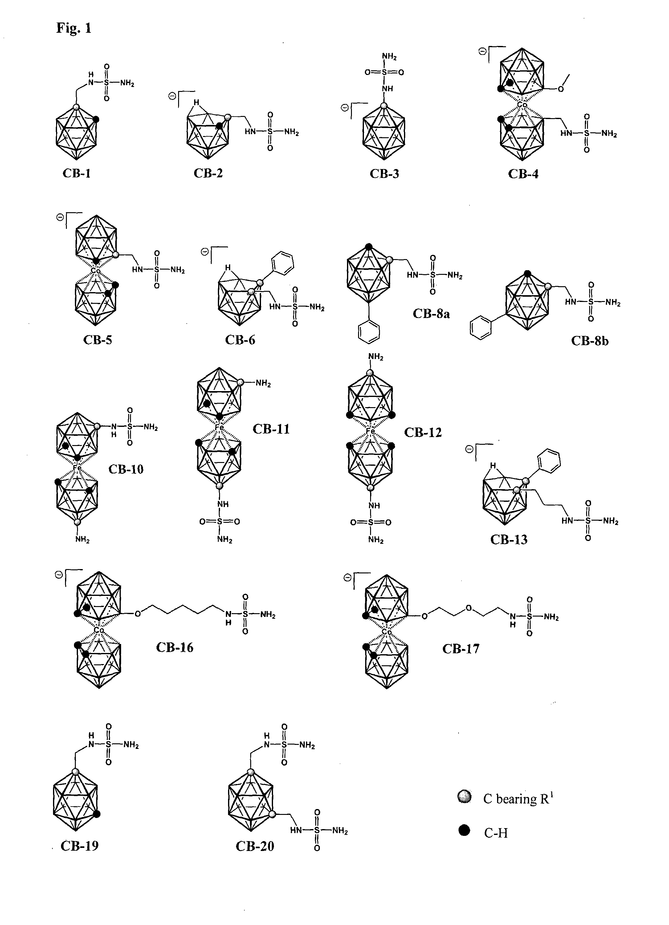 Carbonic anhydrase inhibitors and method of their production