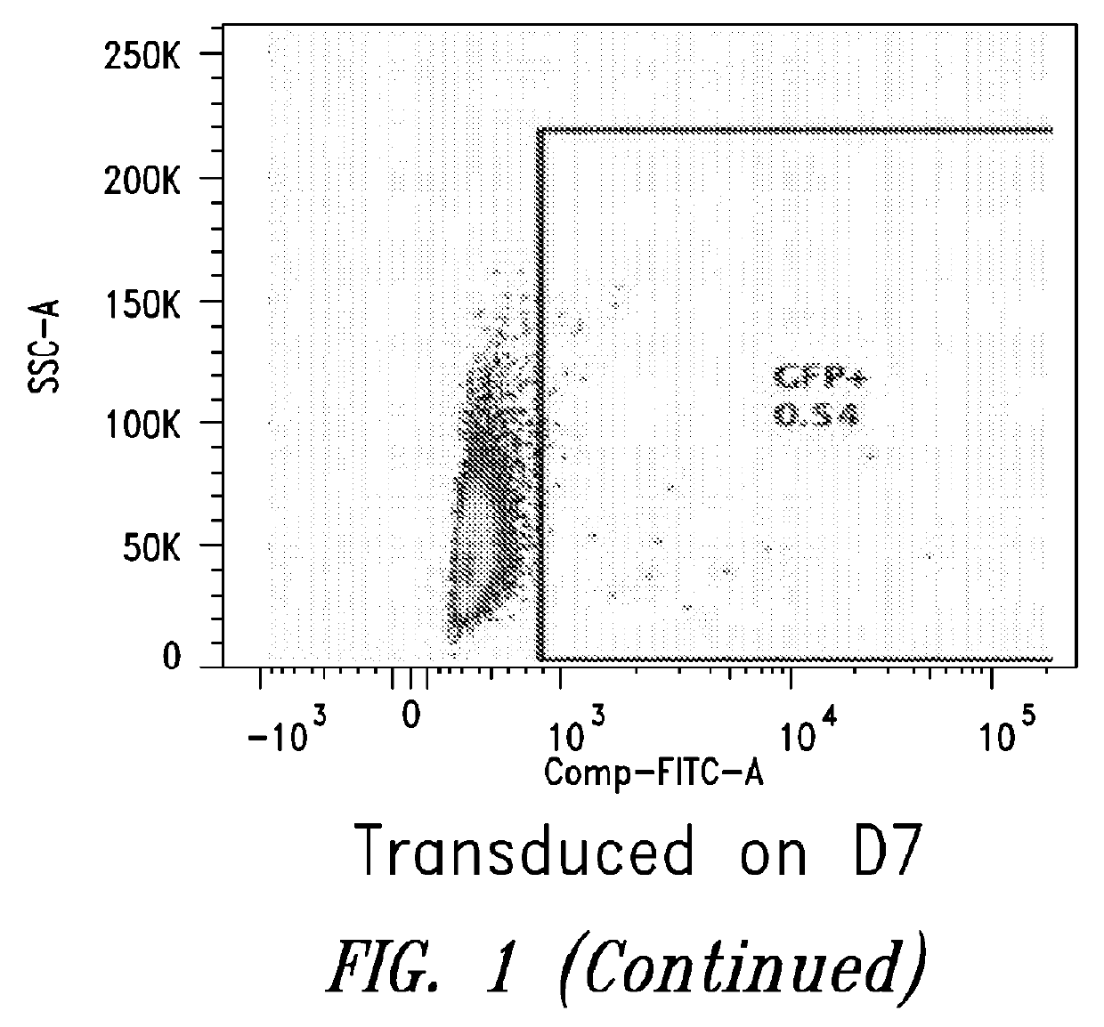 Methods for in vitro memory b cell differentiation and transduction with vsv-g pseudotyped viral vectors