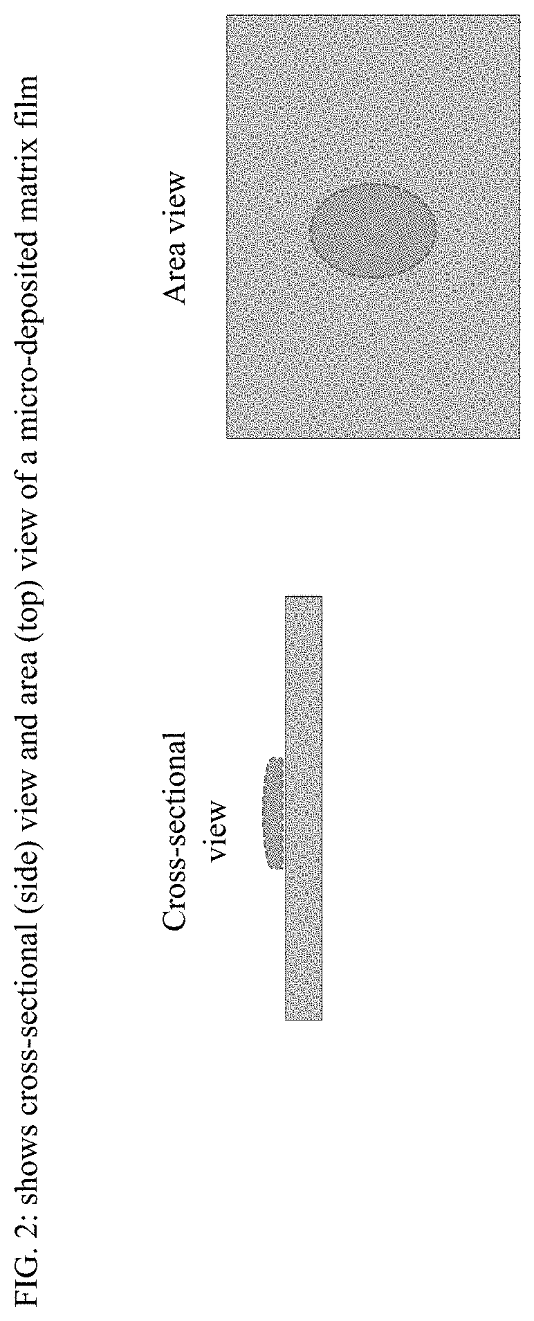 Film formulations containing dexmedetomidine and methods of producing them