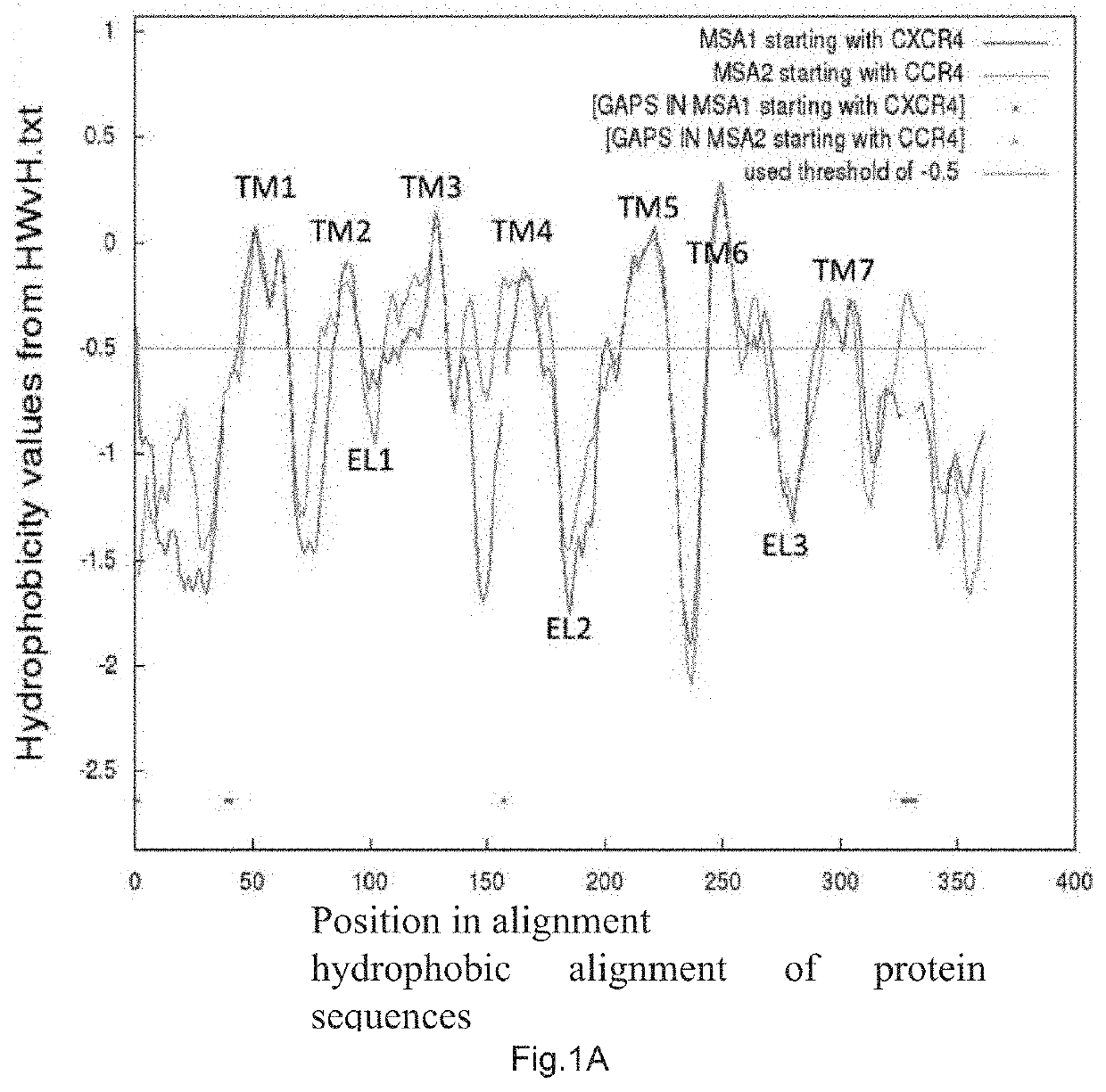 N-terminal recombinant protein of ccr4 and use thereof