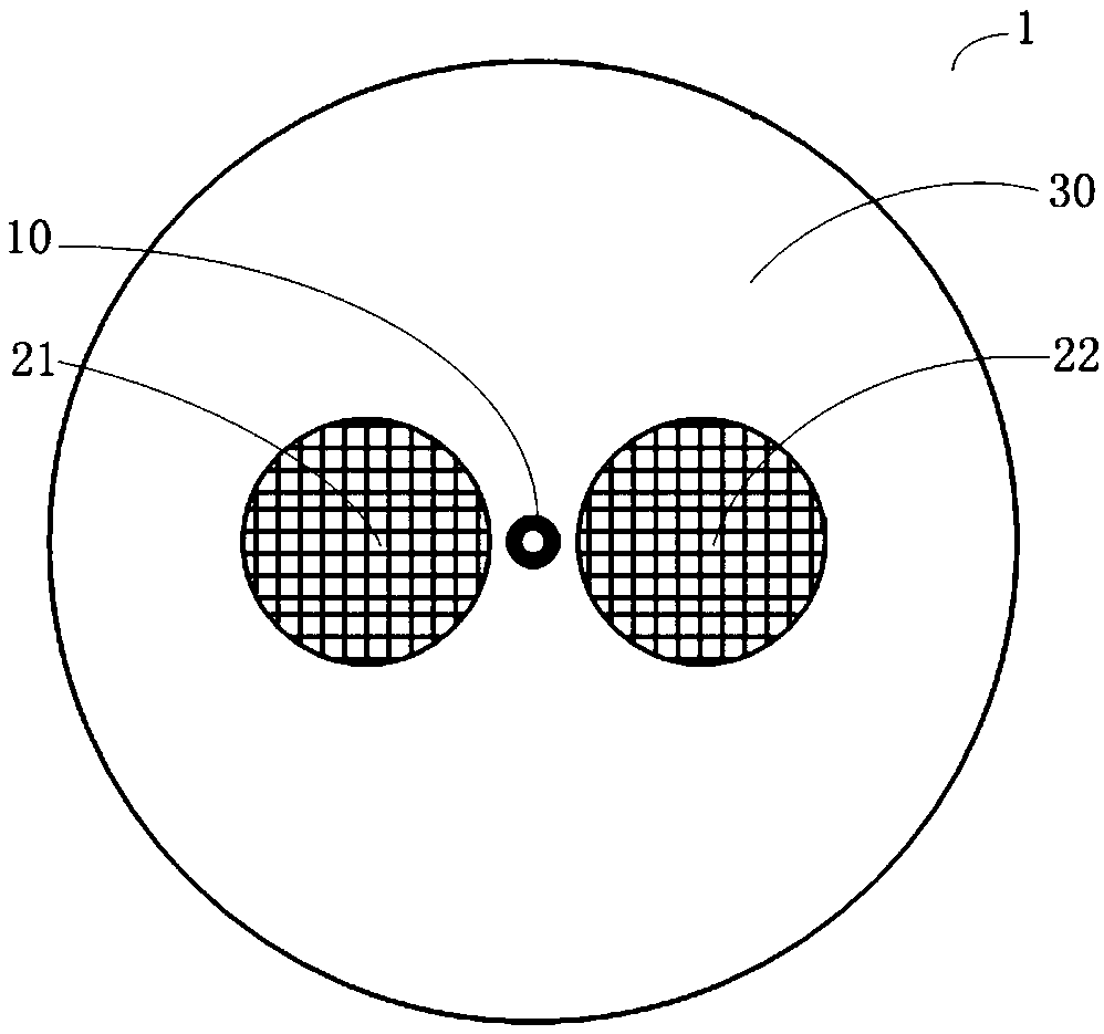 Polarization Maintaining Ring Core Fiber