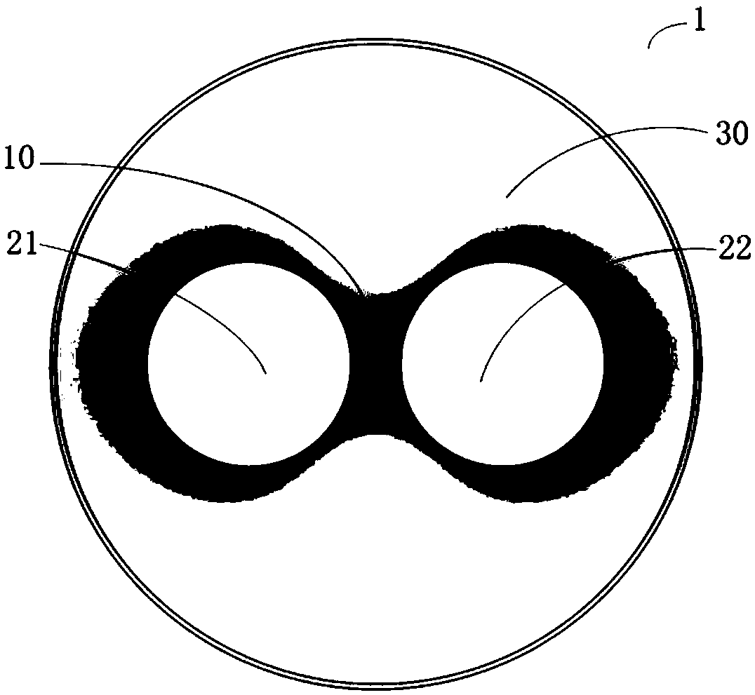 Polarization Maintaining Ring Core Fiber