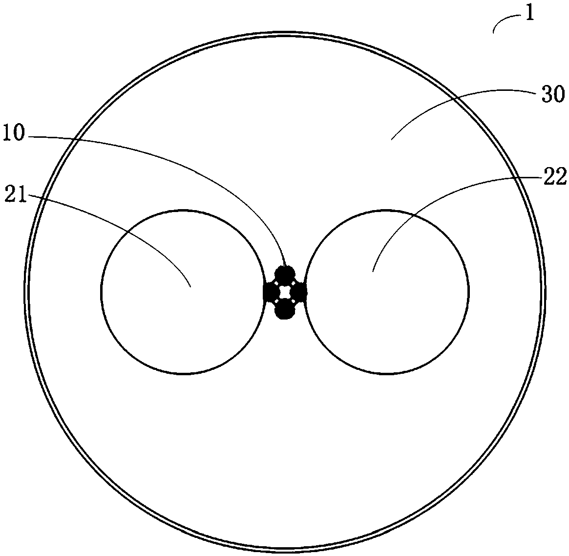 Polarization Maintaining Ring Core Fiber