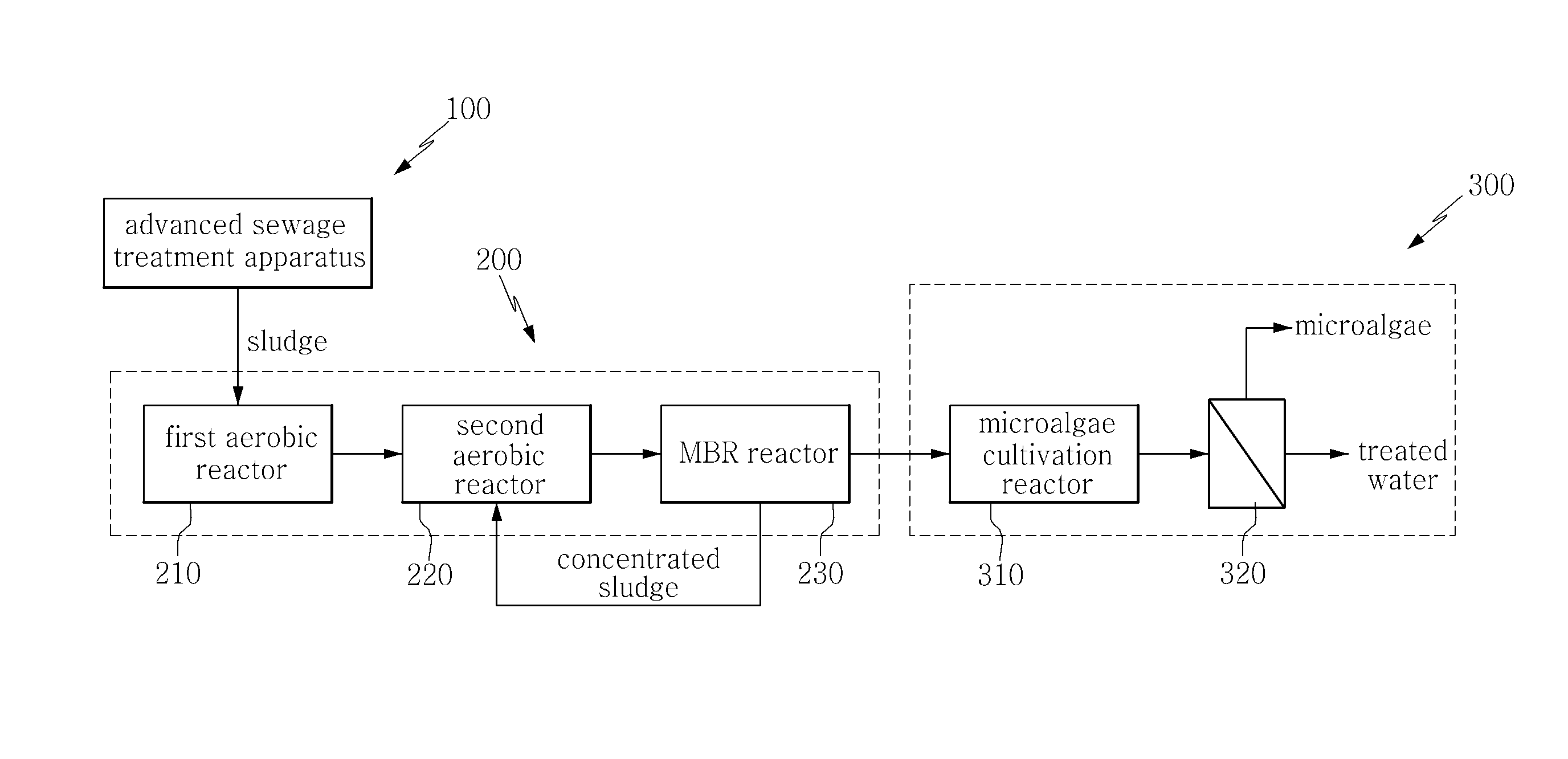 Apparatus and method for cultivating microalgae using effluent from sludge treatment